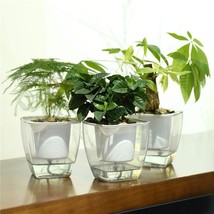 Self-Watering Planter: Fengzhitao Clear Plastic Automatic-Watering - $37.92