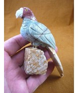 (Y-BIR-PA-409) song PARROT gray red Macaw bird gemstone STONE GEM carvin... - $38.33 CAD
