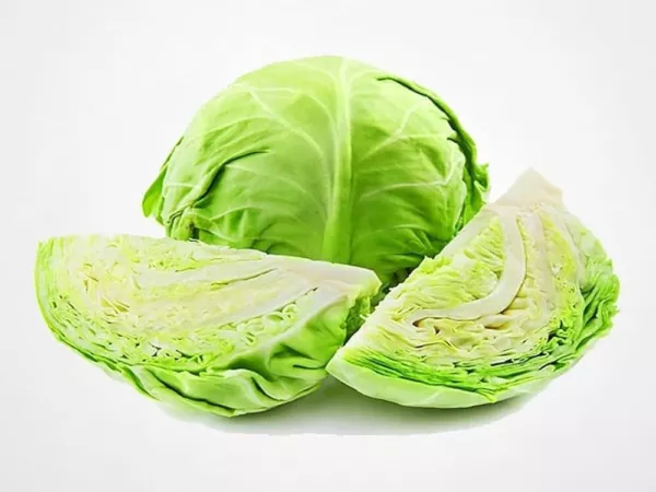 Fresh 200 Seeds Cabbage All Seasons Open Pollinated - £7.07 GBP