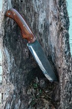 Citadel Jabali Fixed Blade DNH7 Knife EDC Rosewood Grip Sheath + Case Su... - £175.22 GBP