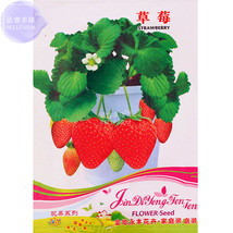 Bonai Giant Strawberry 40 Original Pack organic tasty red fruit E4303 - £6.67 GBP