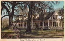 Cottage Plantation House and Grounds St. Francisville Louisiana LA Postcard C36 - £2.30 GBP