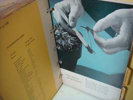 Item image 13