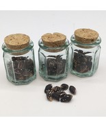3 Small Corked Jars With Tiny Nassa Columbella Mini Shells Beach Decor C... - £11.81 GBP