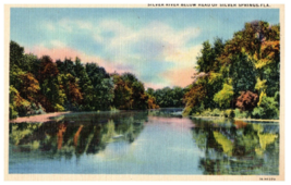 Silver River below Head of Silver Springs Florida Postcard - £5.22 GBP