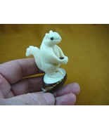 TNE-SQU-82-C) SQUIRREL Nut TAGUA Figurine VEGETABLE Art love squirrels - $35.99