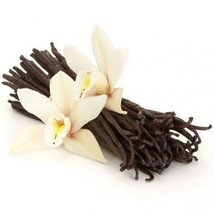Vanilla-Infused oil 10ml - $7.98