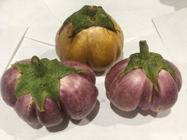 40 Seeds Thai Purple Ribbed Eggplant Purple And White Organic Crop Fresh Garden - £13.33 GBP