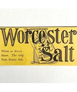 Worcester Salt Nash Whiton NY 1894 Advertisement Victorian Spices 8 ADBN1m - €17,15 EUR