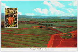 Dole Pineapple Fields in Hawaii Oahu Postcard Pearl Harbor Diamond Head - $4.64