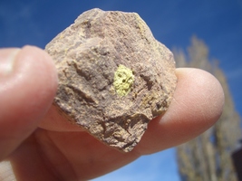 Item image 8