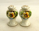 Footed Urn Shape Porcelain Salt and Pepper Shakers, Floral Pattern Made ... - $19.55