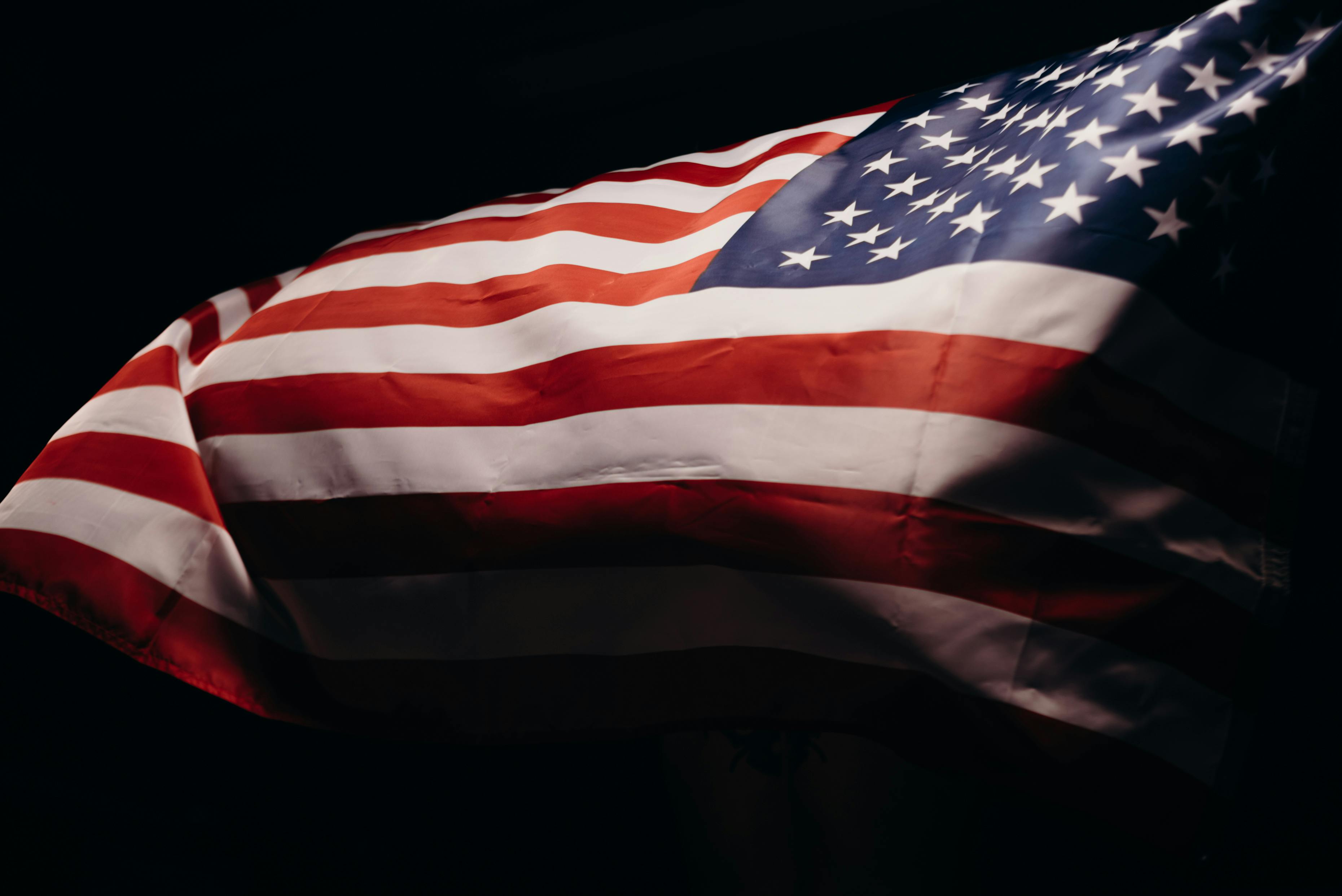 Veteran's Day: Honoring Service and Sacrifice
