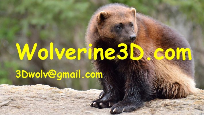 A welcome banner for Wolverine3D.com