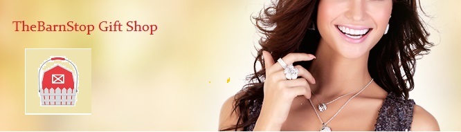A welcome banner for TheBarnStop Jewelry