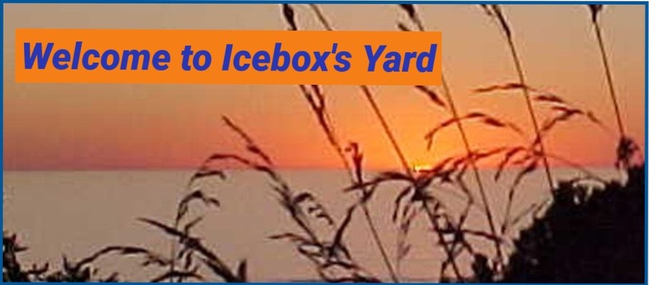 A welcome banner for Icebox's Yard