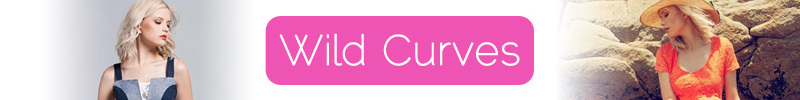 A welcome banner for Wild Curves