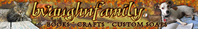 A welcome banner for bvaughnfamily