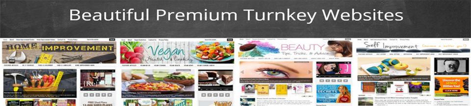 A welcome banner for Amaraq Websites
