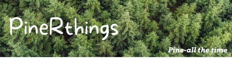A welcome banner for PineRthings