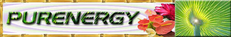 A welcome banner for Purenergy