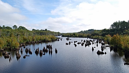 A welcome banner for Smileyfarms Raw Tupelo Honey