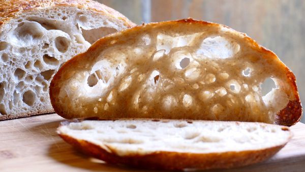 A welcome banner for ZOURDOUGH SOURDOUGH STARTERS