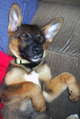 A welcome banner for tom's store