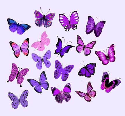 A welcome banner for Butterfly-525's booth