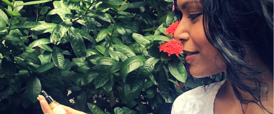 A welcome banner for So Good Botanicals - Plant Powered Skincare