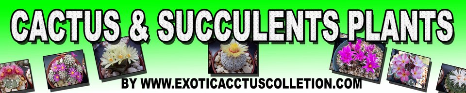 A welcome banner for Exotic_Cactus