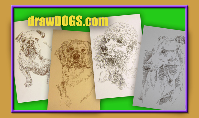 A welcome banner for drawDOGS