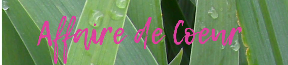 A welcome banner for Affaire_de_Coeur