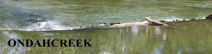 A welcome banner for ondahcreek