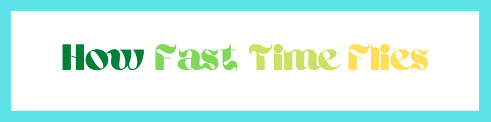 A welcome banner for How Fast Time Flies