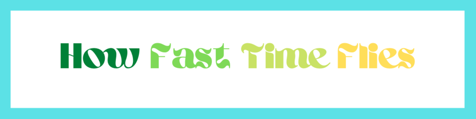 A welcome banner for How Fast Time Flies Vintage 