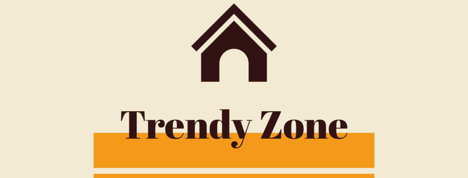 A welcome banner for trendyzonestore
