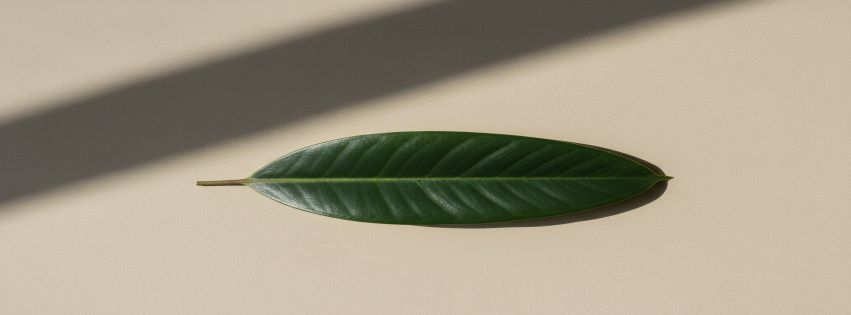 A welcome banner for Spiritual Diversity Magic