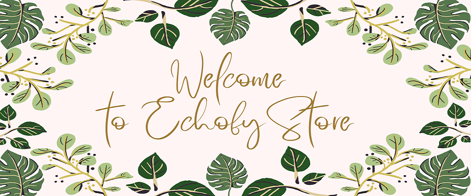 A welcome banner for Echofy Store