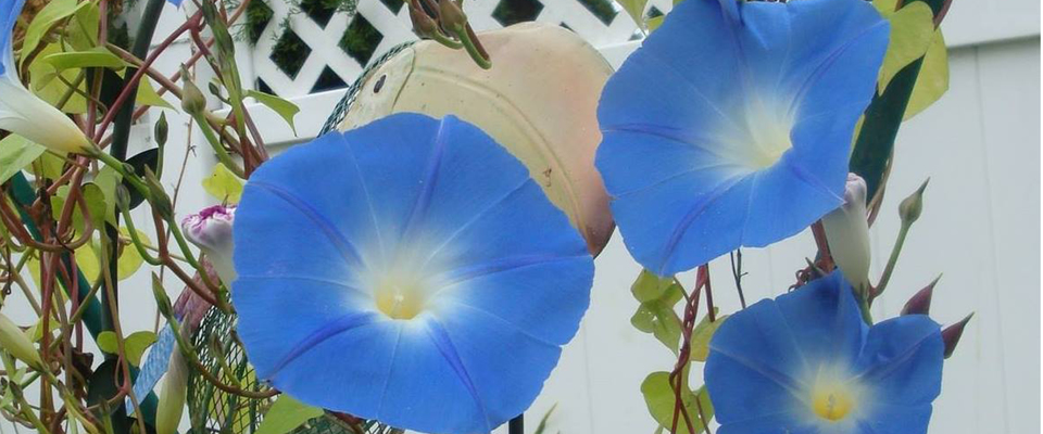 A welcome banner for Stephanie's store