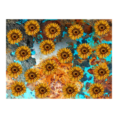 A welcome banner for Savanna's store