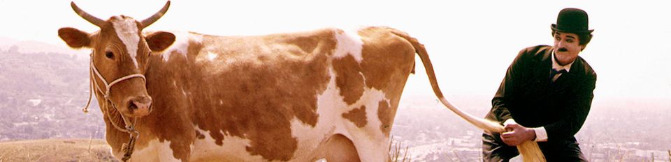 A welcome banner for gumpoxwagon's books, movies, music, and more