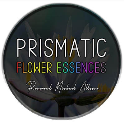 A welcome banner for Prismatic Flower Essences