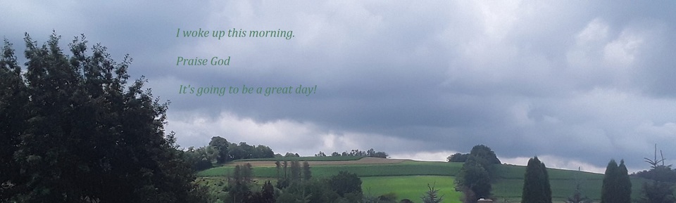 A welcome banner for Thuja_Trees