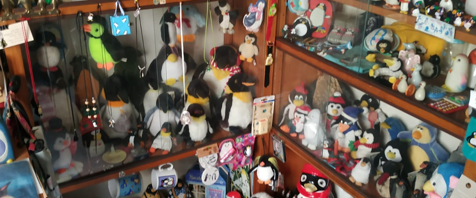 A welcome banner for Penguin Collection of Ana Maria Frias
