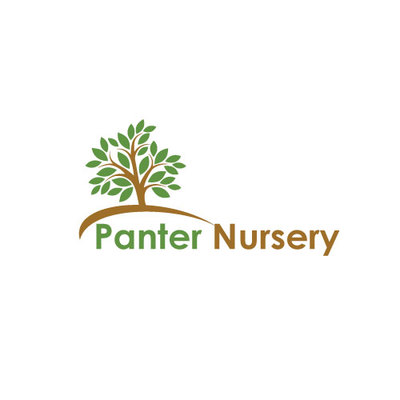 A welcome banner for Vanessa's store
