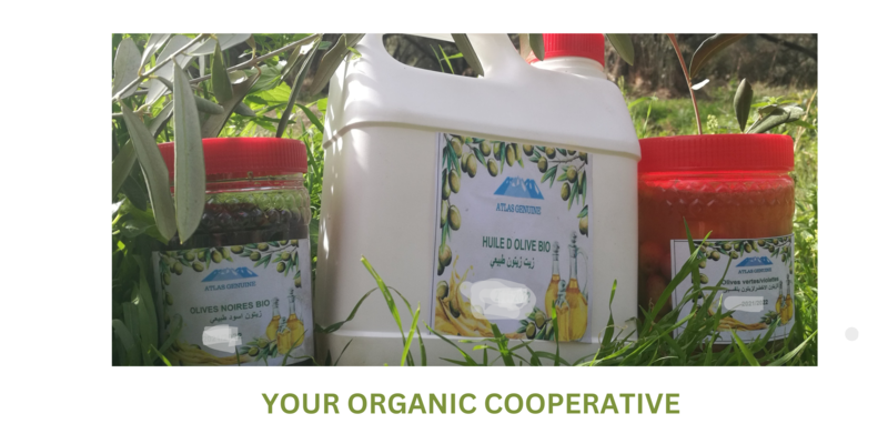A welcome banner for DrissD1's booth &your organic PRODUCTS  cooperative