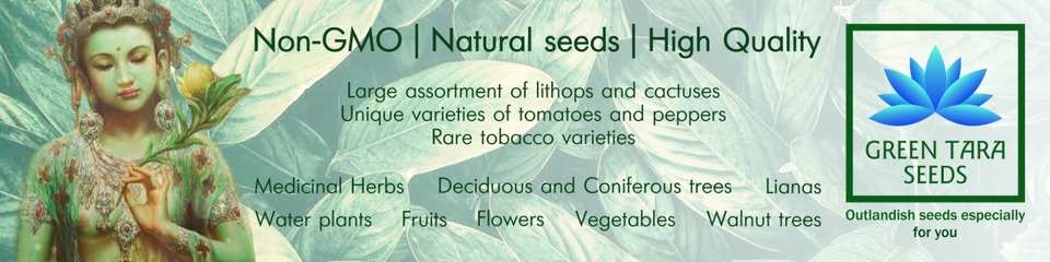 A welcome banner for Green_Tara_Seeds