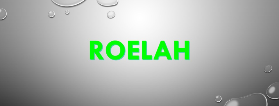 A welcome banner for ROELAH