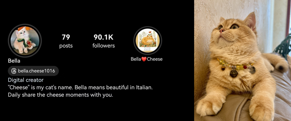 A welcome banner for Bella&Cheese